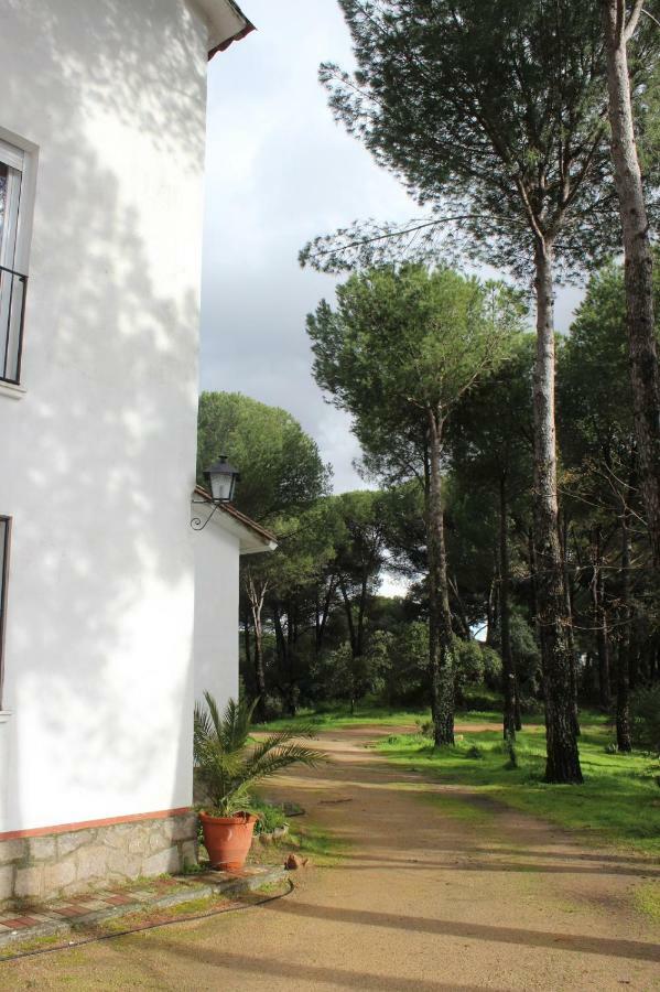 Vina Concepcion Villa Andújar Dış mekan fotoğraf