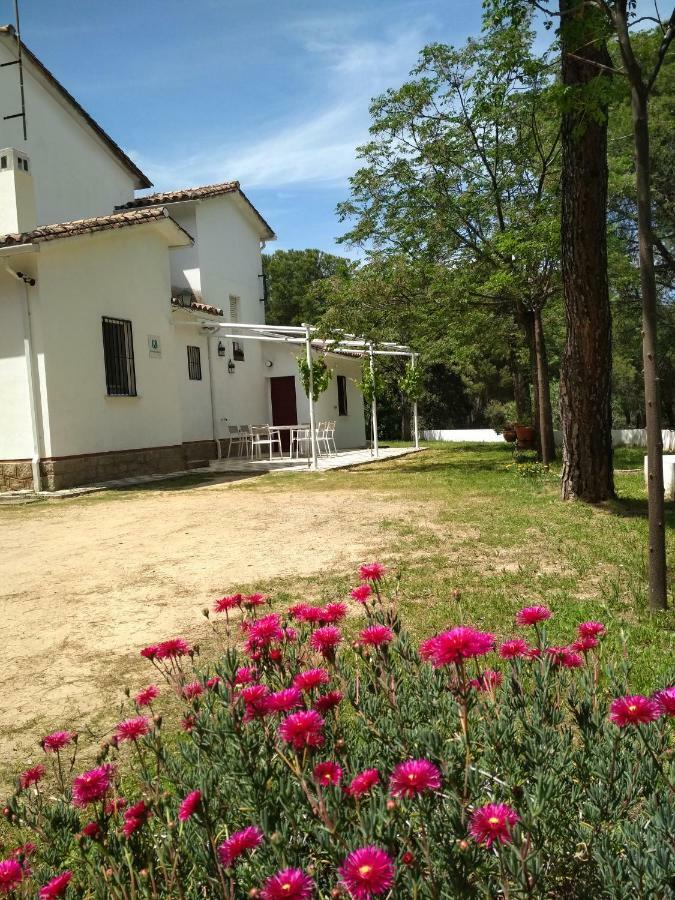 Vina Concepcion Villa Andújar Dış mekan fotoğraf
