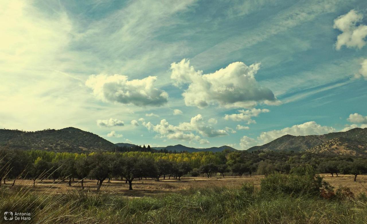 Vina Concepcion Villa Andújar Dış mekan fotoğraf