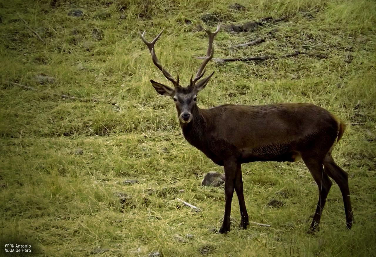 Vina Concepcion Villa Andújar Dış mekan fotoğraf