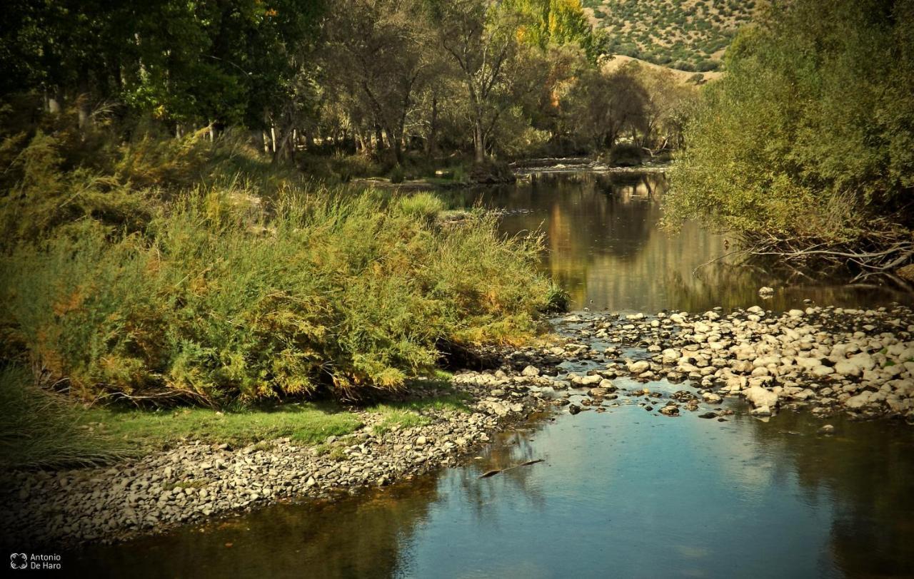 Vina Concepcion Villa Andújar Dış mekan fotoğraf