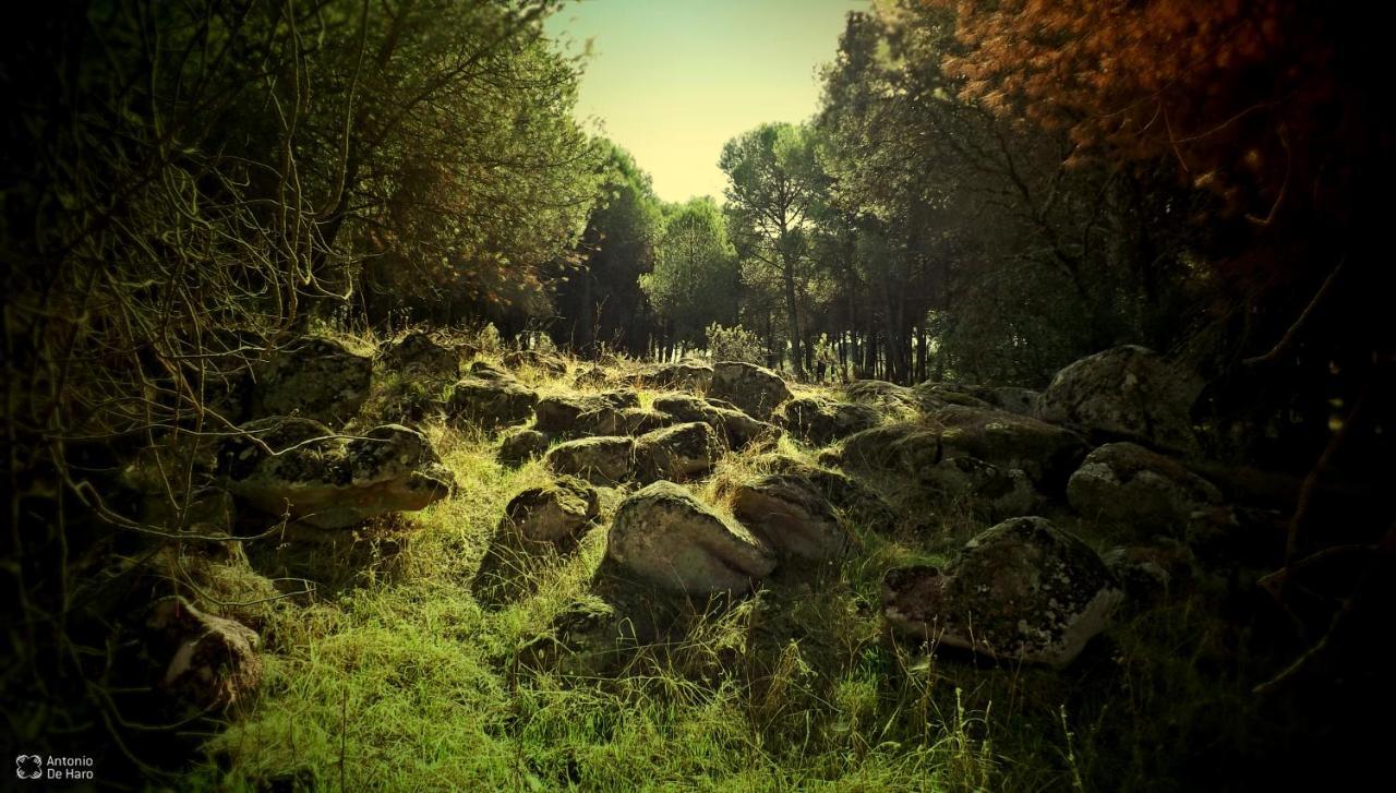 Vina Concepcion Villa Andújar Dış mekan fotoğraf